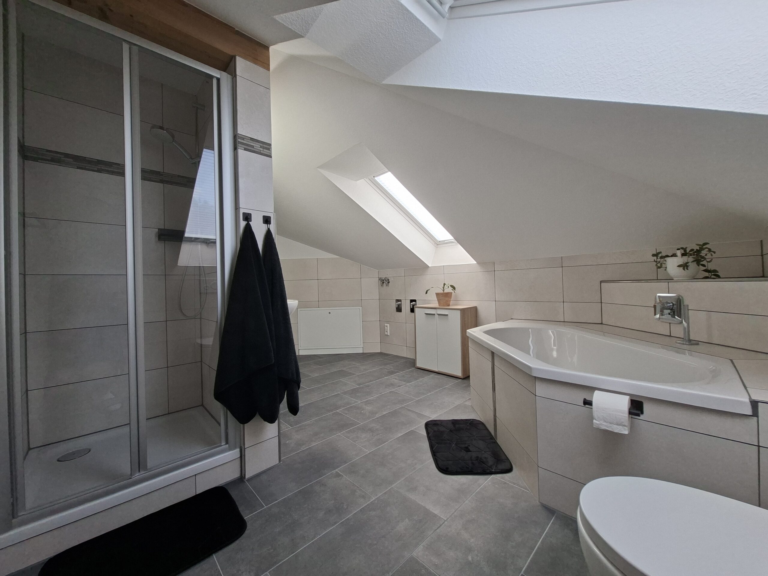 Tageslichtbad mit Dusche und Badewanne in Appartement 2